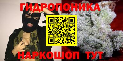 хмурый Обь